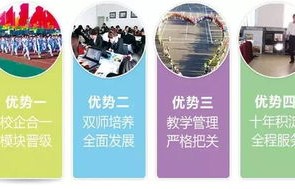 对电子商务专业正确理解