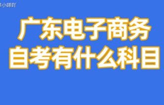 跨进电子商务专业是什么