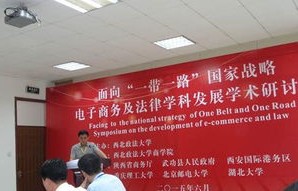 电子商务及法律专业论文