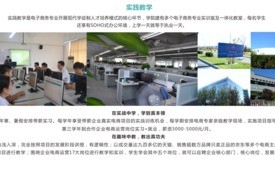 格力招电子商务专业吗