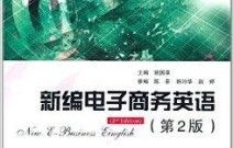 美国电子商务专业课程