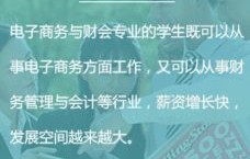电子商务专业想学会计