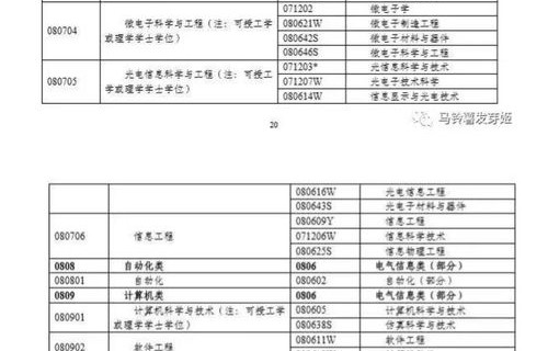 电子商务专业择偶标准表