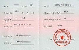 中国电子商务专业证书