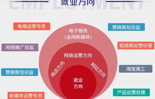 电子商务专业的工作方向