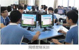 电子商务法务专业研究生