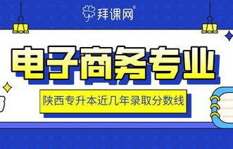 电子商务能升本的专业