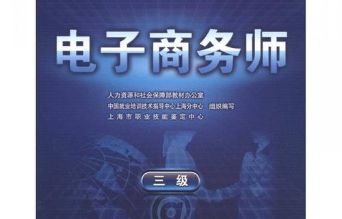 电子商务师专业技能