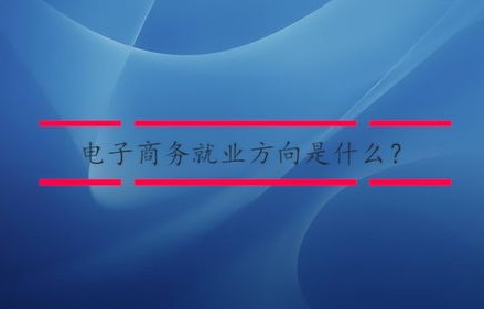 电子商务专业出路之一