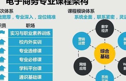 医药行业电子商务专业