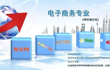 电子商务嵌入式培养专业