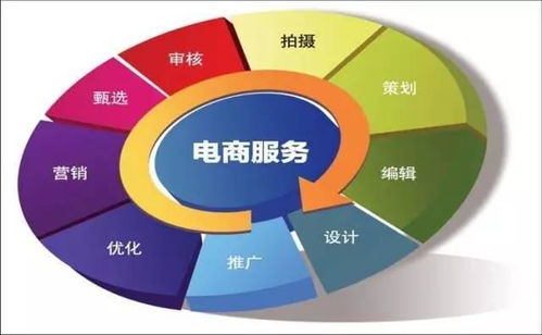 电子商务专业行业分析