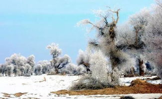 长沙罕见下雪，银装素裹的冬日美景惊艳全城