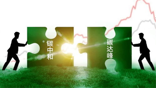 多地节俭办春节，灯笼不再满树挂——绿色环保成为新年新风尚