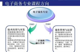 电子商务专业毕业方向