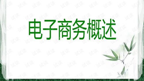 电子商务专业毕业PPT