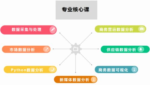 电子商务专业用户分析