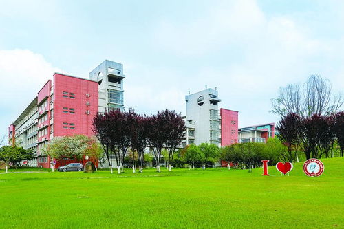 长沙大学电子商务专业