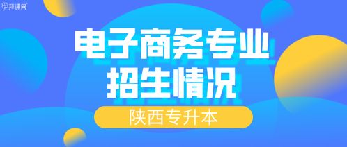 电子商务专业能高考嘛