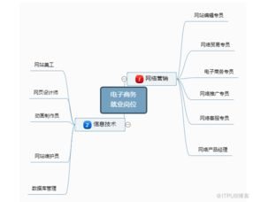 电子商务专业合适的岗位