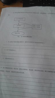 电子商务专业实训答案