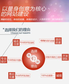 电子商务专业方案设计