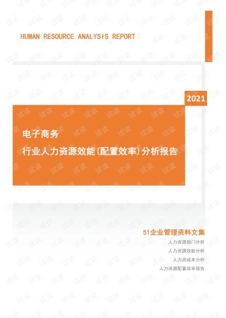 电子商务的专业分析报告