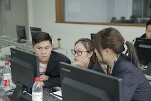 东北财经电子商务专业