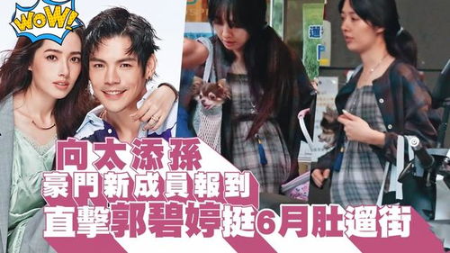 曝许玮甯已怀孕4个月，幸福新篇章即将开启