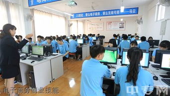 专业电脑电子商务学什么