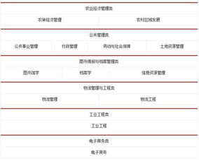 电子商务专业湖南公务员