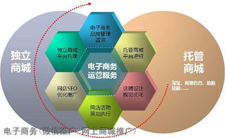 电子商务专业二级学科