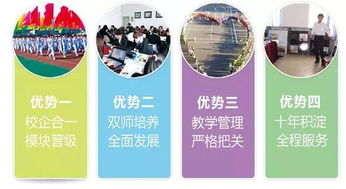 四川电子商务专业对口