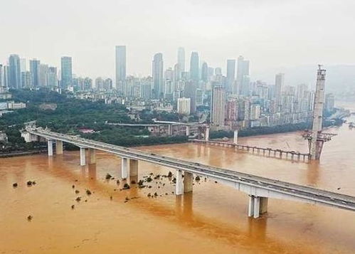 榕江洪峰水位飙升至253米，警报声中的紧急应对
