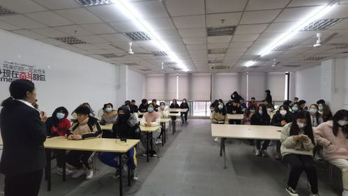 三亚专科电子商务专业招聘