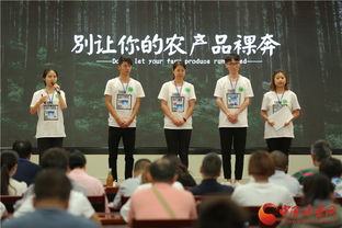 甘肃电子商务专业能报哪个学校