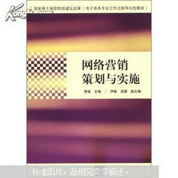 电子商务专业营销策划案