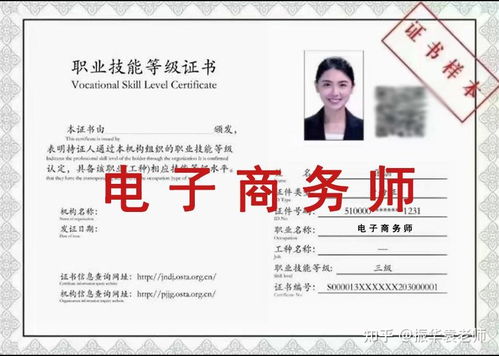 电子商务师专业技能证书