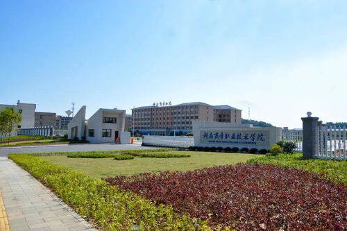 泸职院电子商务专业单招